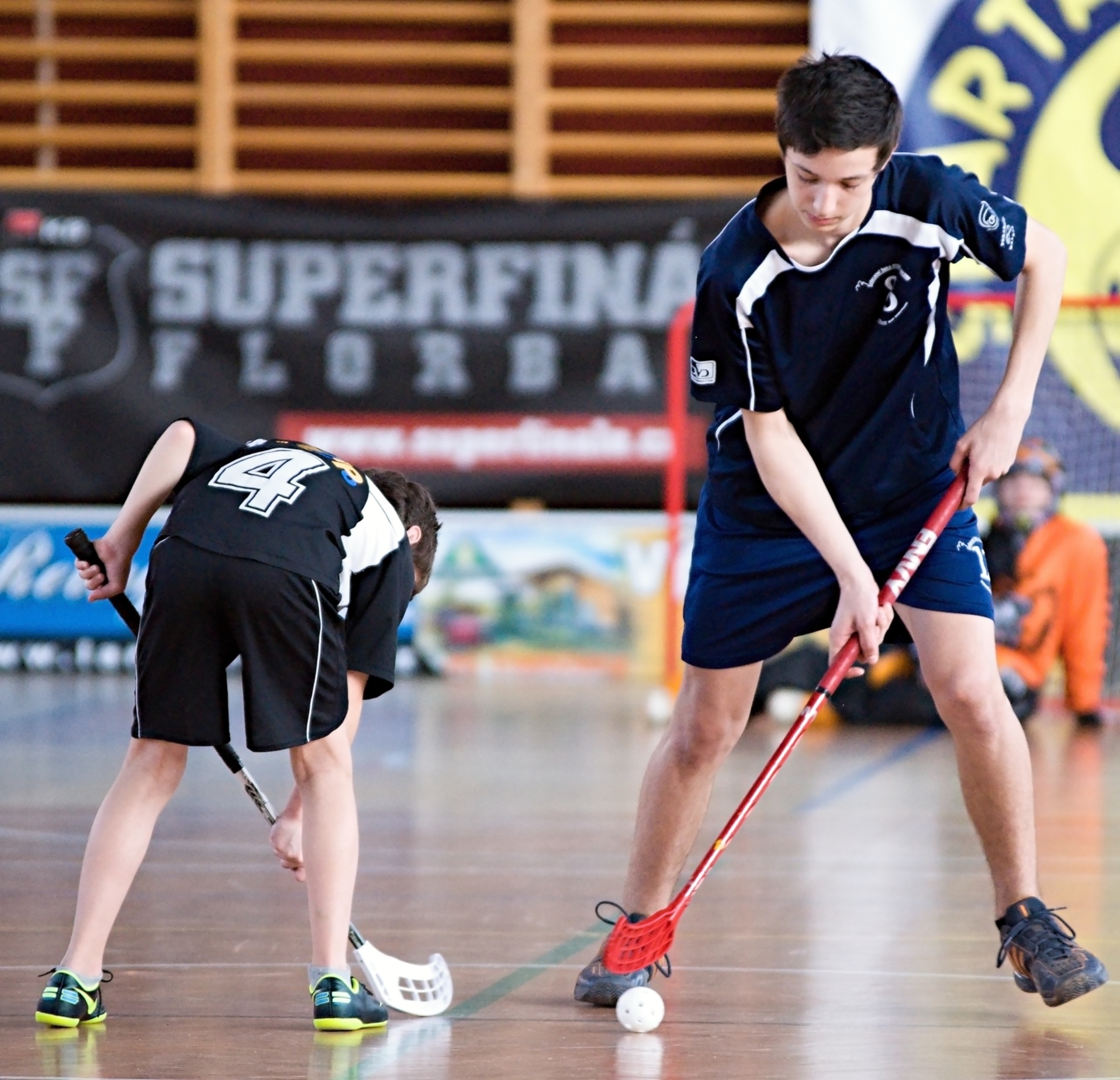 Strži v PE 13.4.2013 (19